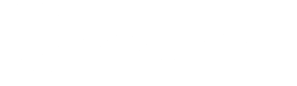 ltv dommelen logo wit