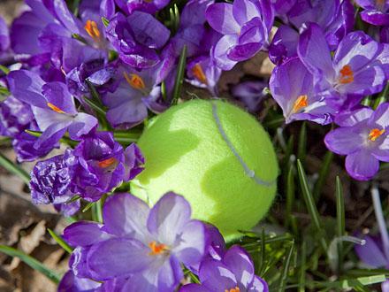 voorjaar tennis