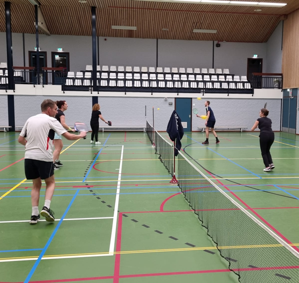 uitegelicht over pickleball